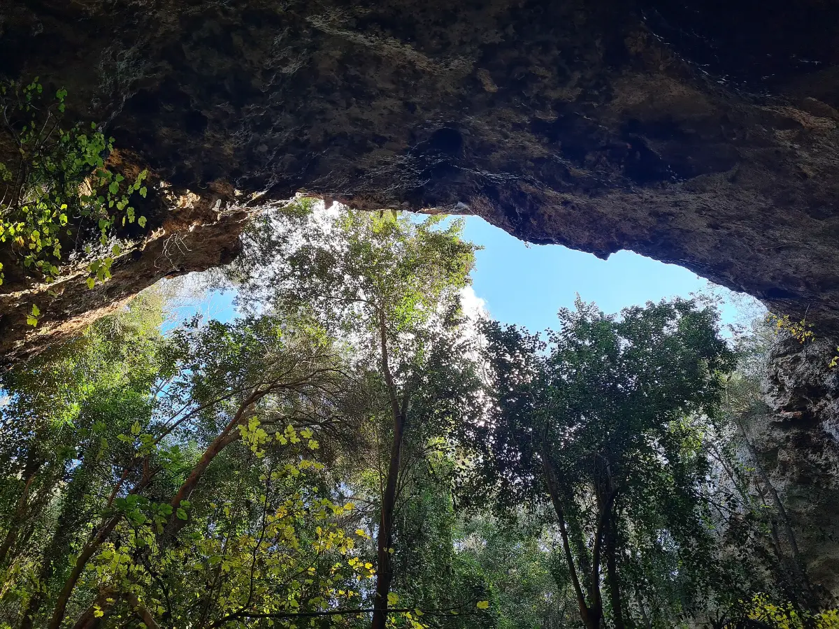 Utsikt fra Cueva Redonda, den åpne grotten med trær, i Hamsgrottene