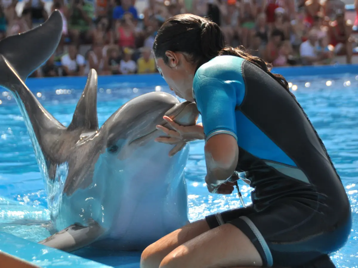 En dyrepasser med en delfin i bassenget under oppvisningen i Marineland